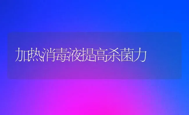 加热消毒液提高杀菌力 | 养殖知识