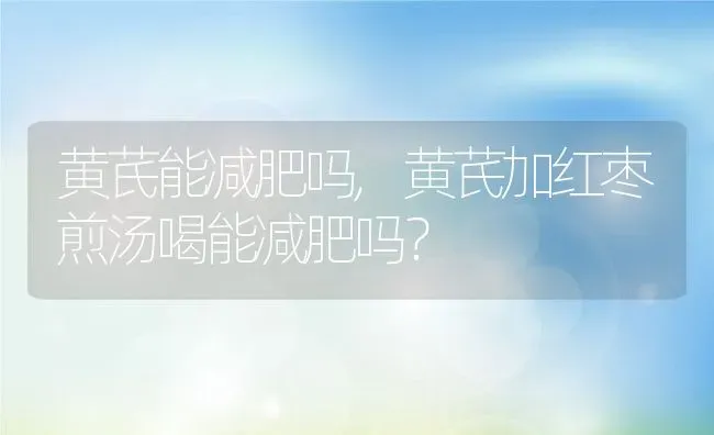 黄芪能减肥吗,黄芪加红枣煎汤喝能减肥吗？ | 养殖科普