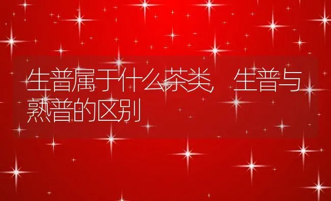 生普属于什么茶类,生普与熟普的区别 | 养殖学堂