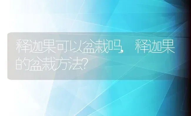 释迦果可以盆栽吗,释迦果的盆栽方法？ | 养殖科普