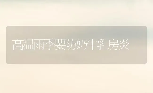 高温雨季要防奶牛乳房炎 | 养殖知识