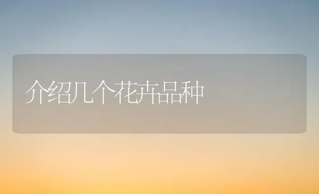介绍几个花卉品种 | 养殖技术大全