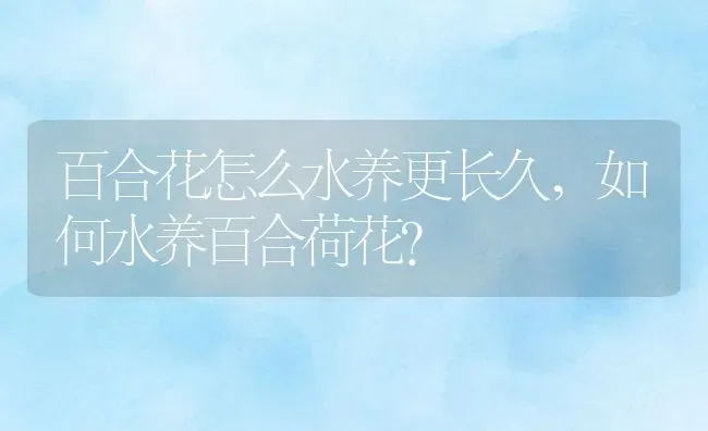 百合花怎么水养更长久,如何水养百合荷花？ | 养殖学堂