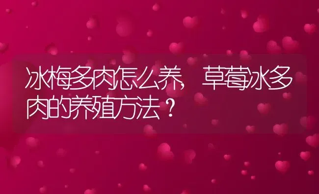 冰梅多肉怎么养,草莓冰多肉的养殖方法？ | 养殖科普