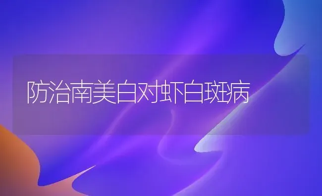 防治南美白对虾白斑病 | 养殖知识