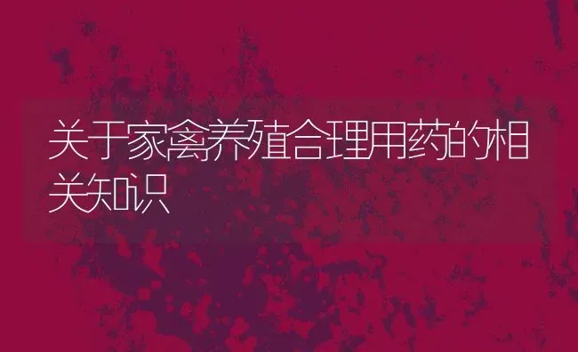 关于家禽养殖合理用药的相关知识 | 养殖学堂