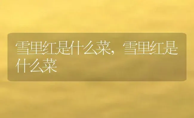 狗可以吃草莓吗,泰迪狗可以吃草莓吗 | 养殖科普