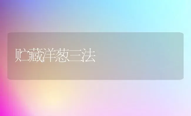 贮藏洋葱三法 | 养殖技术大全