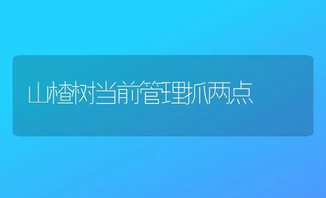 山楂树当前管理抓两点 | 养殖技术大全