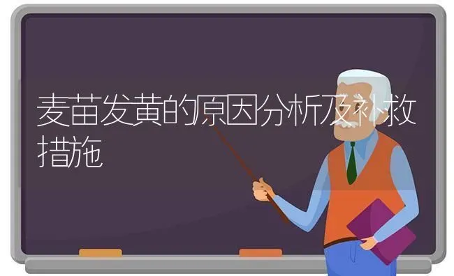 麦苗发黄的原因分析及补救措施 | 养殖知识