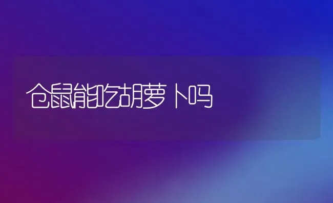 仓鼠能吃胡萝卜吗 | 养殖科普