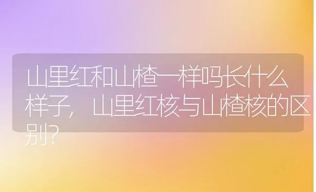 山里红和山楂一样吗长什么样子,山里红核与山楂核的区别？ | 养殖科普