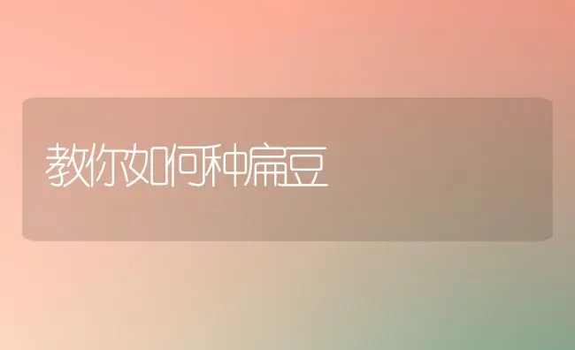 教你如何种扁豆 | 养殖知识