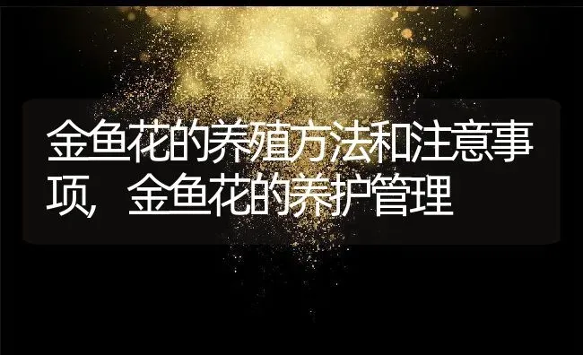 金鱼花的养殖方法和注意事项,金鱼花的养护管理 | 养殖学堂