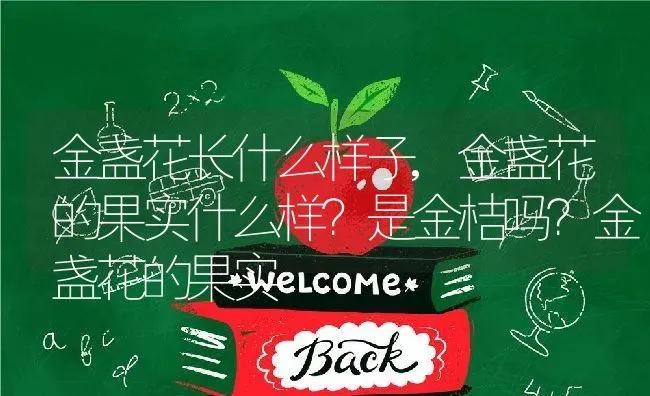 金盏花长什么样子,金盏花的果实什么样？是金桔吗？金盏花的果实 | 养殖学堂