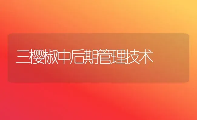 三樱椒中后期管理技术 | 养殖知识