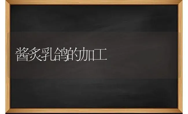 酱炙乳鸽的加工 | 养殖技术大全