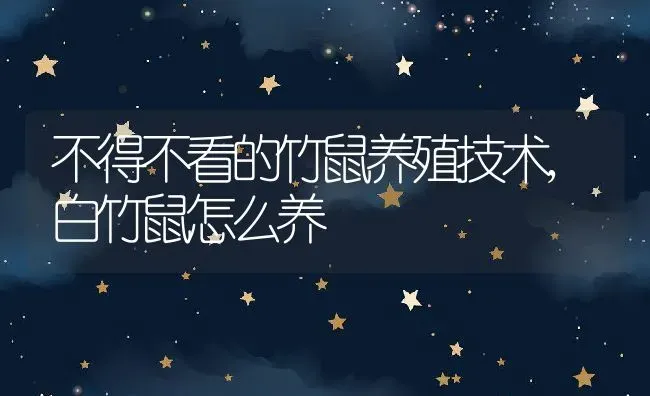 不得不看的竹鼠养殖技术,白竹鼠怎么养 | 养殖学堂