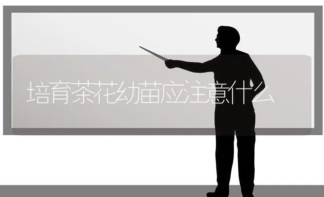 培育茶花幼苗应注意什么 | 养殖技术大全
