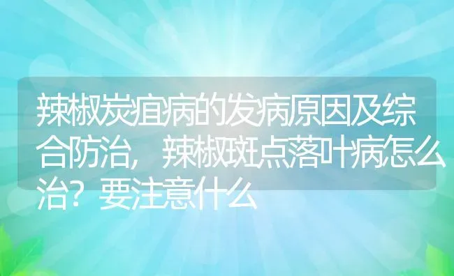 辣椒炭疽病的发病原因及综合防治,辣椒斑点落叶病怎么治？要注意什么 | 养殖学堂