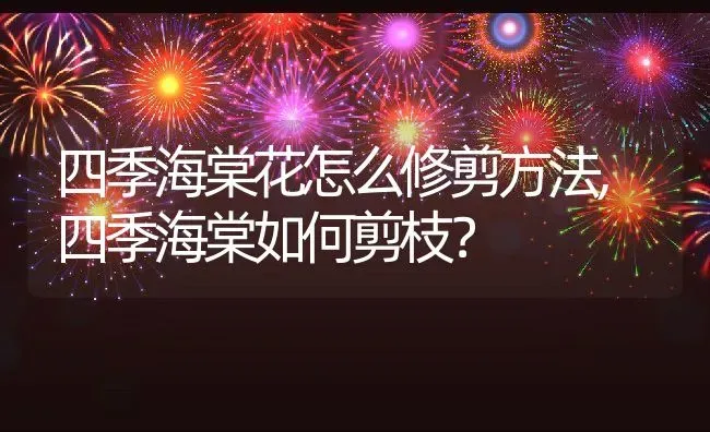 四季海棠花怎么修剪方法,四季海棠如何剪枝？ | 养殖科普