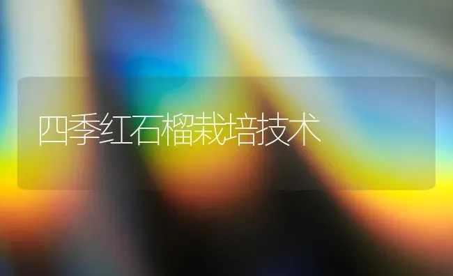 四季红石榴栽培技术 | 养殖技术大全