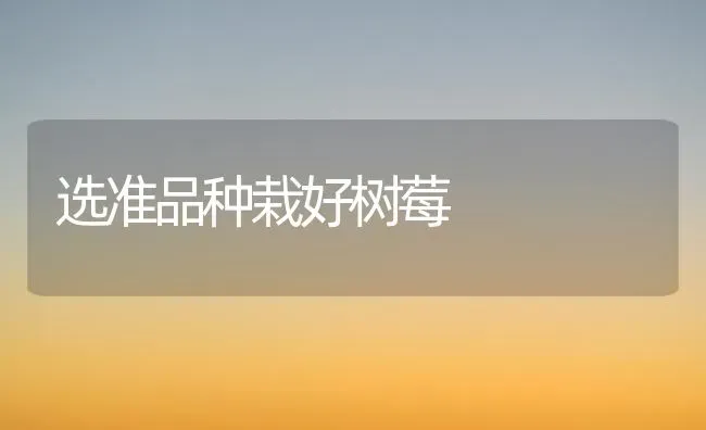选准品种栽好树莓 | 养殖技术大全