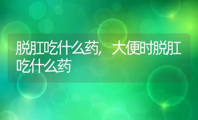 泰迪狗训练大小便,泰迪狗训练大小便视频教程 | 养殖资料