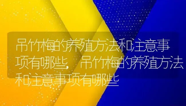 吊竹梅的养殖方法和注意事项有哪些,吊竹梅的养殖方法和注意事项有哪些 | 养殖科普