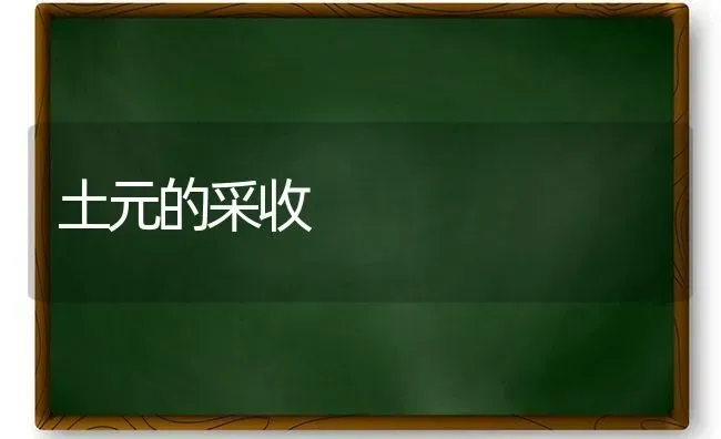 土元的采收 | 养殖技术大全
