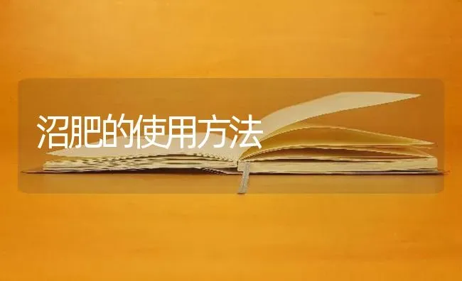 沼肥的使用方法 | 养殖技术大全