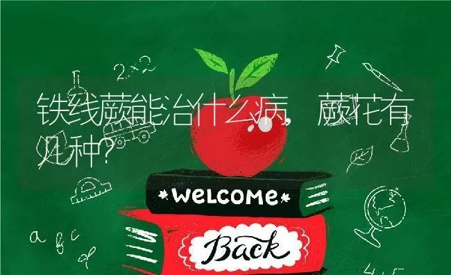 铁线蕨能治什么病,蕨花有几种？ | 养殖学堂