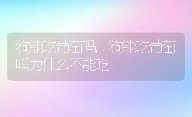 狗能吃葡萄吗,狗能吃葡萄吗为什么不能吃 | 养殖资料