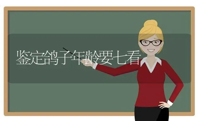 鉴定鸽子年龄要七看 | 养殖知识