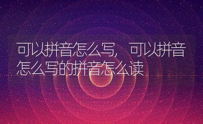 可以拼音怎么写,可以拼音怎么写的拼音怎么读 | 养殖科普