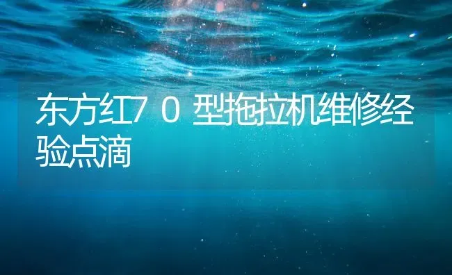东方红70型拖拉机维修经验点滴 | 养殖知识