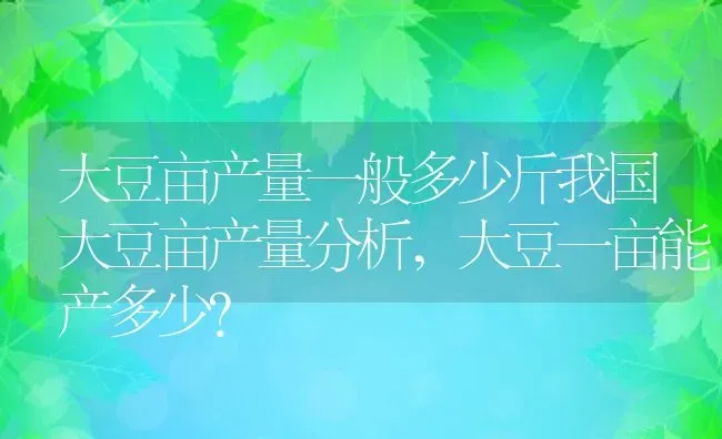 大豆亩产量一般多少斤我国大豆亩产量分析,大豆一亩能产多少？ | 养殖科普