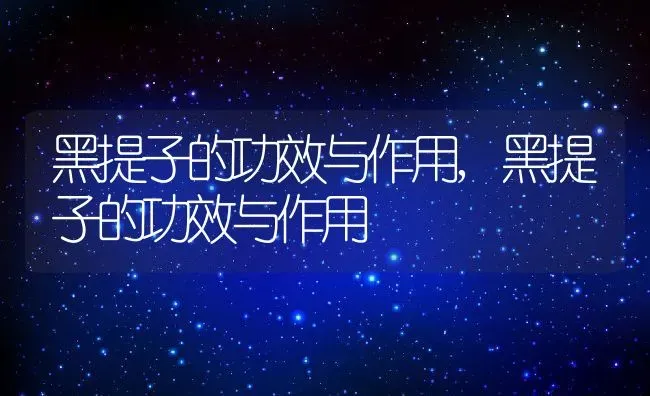 黑提子的功效与作用,黑提子的功效与作用 | 养殖科普