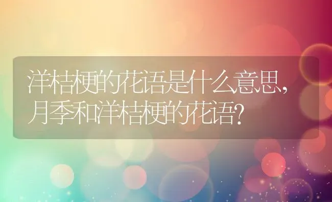 洋桔梗的花语是什么意思,月季和洋桔梗的花语？ | 养殖科普