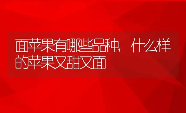 面苹果有哪些品种,什么样的苹果又甜又面 | 养殖学堂