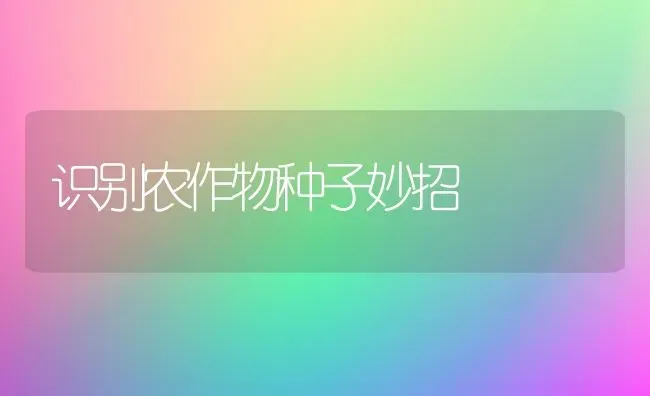 识别农作物种子妙招 | 养殖知识