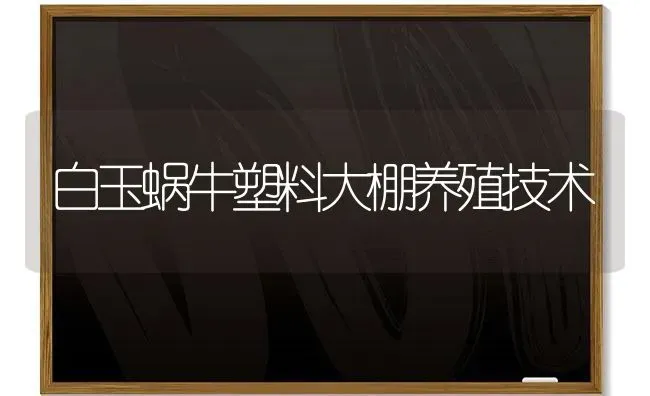 白玉蜗牛塑料大棚养殖技术 | 养殖技术大全