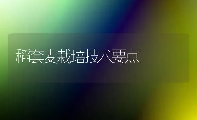 稻套麦栽培技术要点 | 养殖技术大全