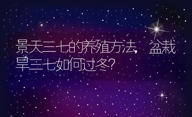 景天三七的养殖方法,盆栽旱三七如何过冬？ | 养殖科普