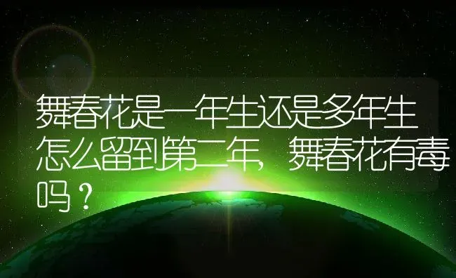 舞春花是一年生还是多年生怎么留到第二年,舞春花有毒吗？ | 养殖科普
