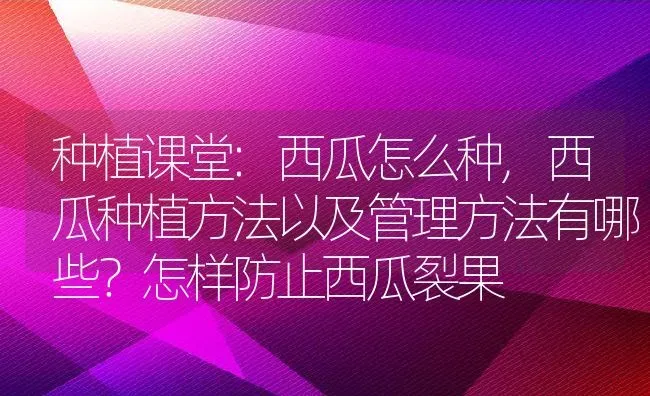 种植课堂:西瓜怎么种,西瓜种植方法以及管理方法有哪些？怎样防止西瓜裂果 | 养殖学堂