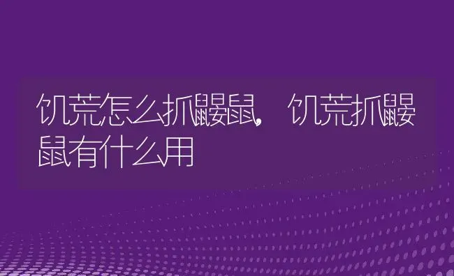 饥荒怎么抓鼹鼠,饥荒抓鼹鼠有什么用 | 养殖资料