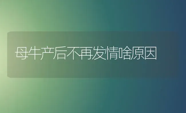 母牛产后不再发情啥原因 | 养殖技术大全