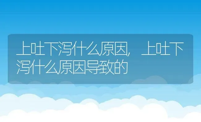 上吐下泻什么原因,上吐下泻什么原因导致的 | 养殖科普