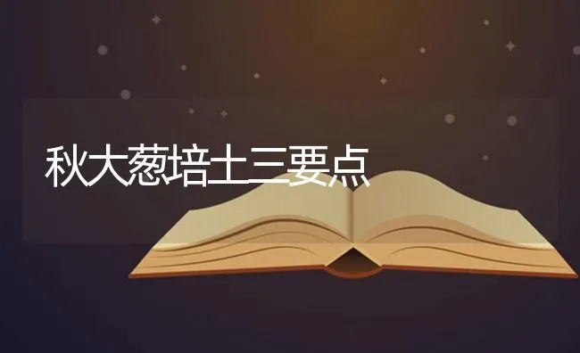 秋大葱培土三要点 | 养殖技术大全